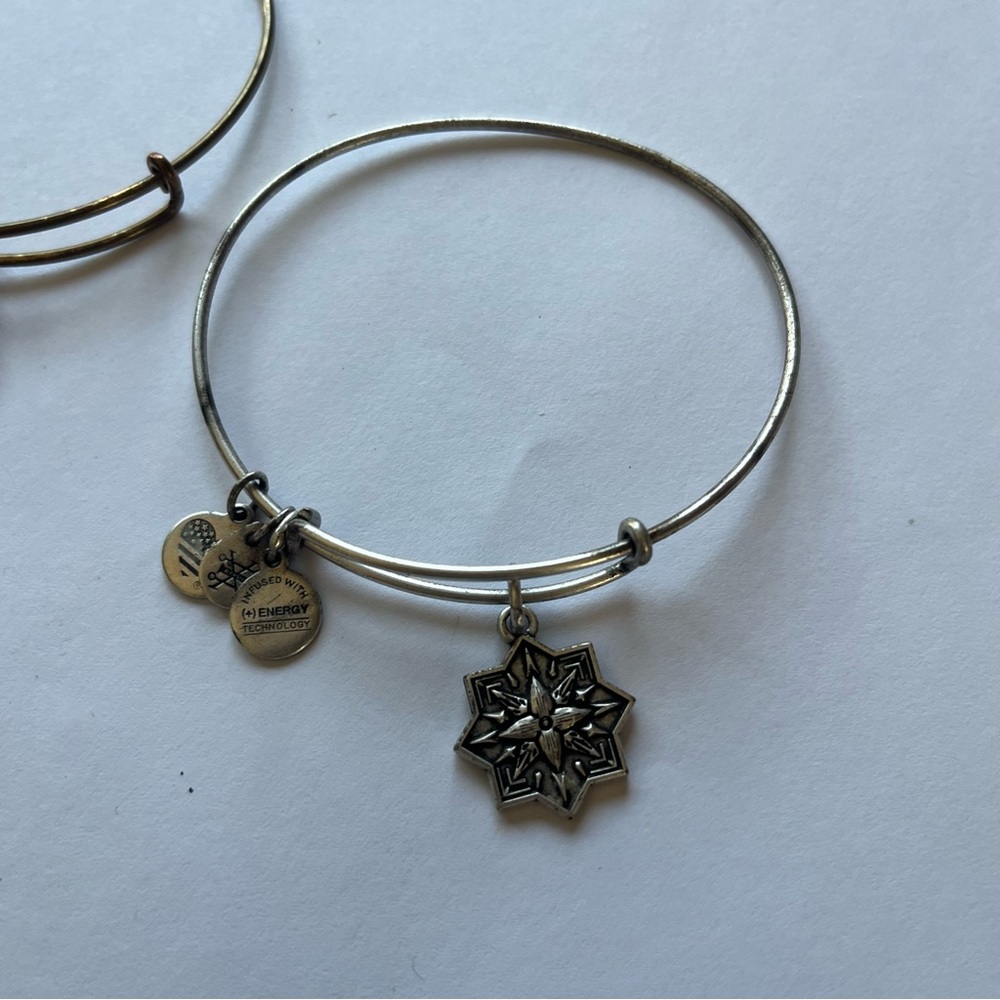 Alex and Ani Assorted Charm Bracelets - Picture 2 of 6